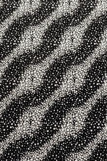 Printed Silk Charmeuse0