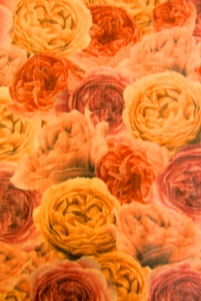  Warp Printed Taffeta0