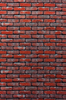 Cotton Broadcloth With Brick Wall Print0