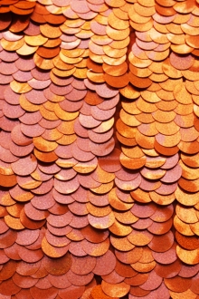 Pailettes on Silk Chiffon0