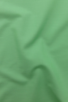 Kona Cotton in Asparagus0