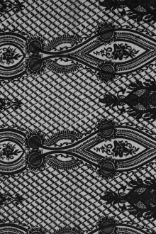 Embroidered Tulle with Victorian Ornamentations in Black0