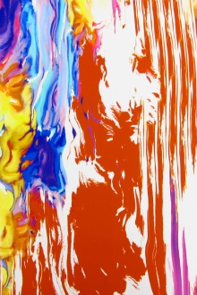 Printed Silk Charmeuse0