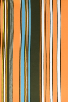 Printed Silk Charmeuse0