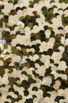 Paillettes on Silk Chiffon0