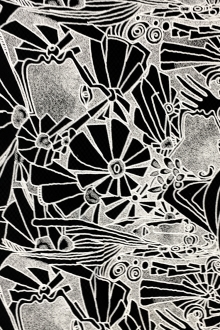 Embroidered Birdcage Tulle0