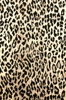 Printed Silk Charmeuse0