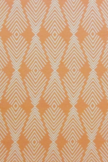 Cotton Lycra Jersey Print0