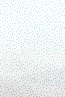 Printed Silk Chiffon0