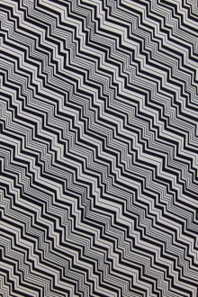 Cotton Broadcloth Print0