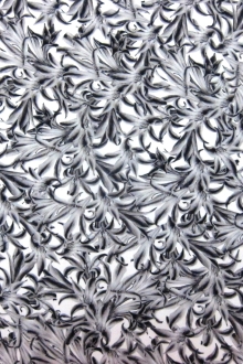 Printed Silk Charmeuse0