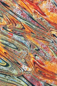 Printed Silk Charmeuse0