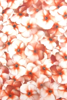 Printed Silk Organza0