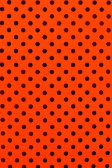 Cotton Broadcloth Print0