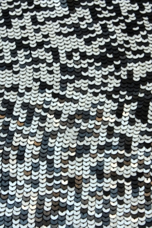 Sequins on Silk Chiffon0