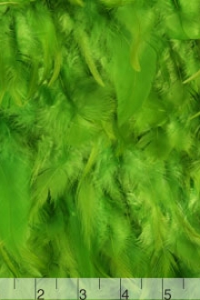 Feathers on Chiffon0