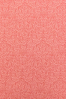 Cotton Broadcloth Print0