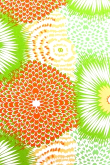 Printed Silk Charmeuse0