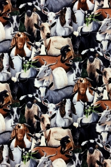 Cotton Broadcloth Print 0