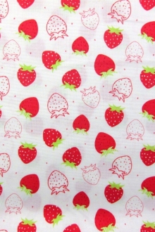 Cotton Broadcloth Print0