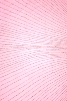 Marguerite Coral Crystal Embroidered Tulle Panel0