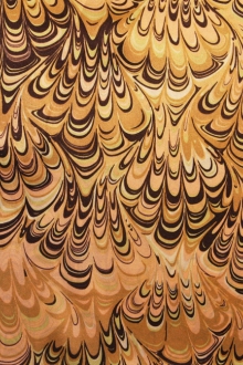 Printed Silk Charmeuse1