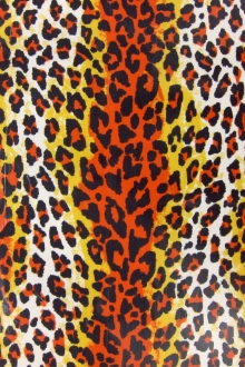 COATED COTTON PRINT0