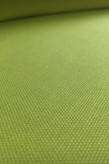 10oz Organic Cotton Canvas in Avocado0