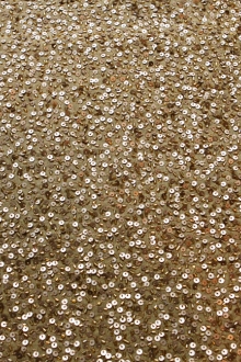 Sequins on Silk Chiffon0