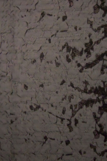 Metallic Silk Blend Lamé Organza Cloqué Panel0