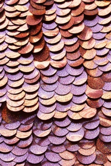 Pailettes on Silk Chiffon0