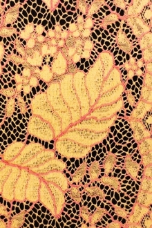 Corded Chantilly Lace0