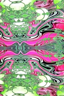 Printed Silk Charmeuse Panel0