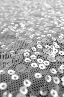 Transparent Sequins on White Tulle 0