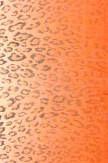 Printed Ombré Silk Chiffon Panel0