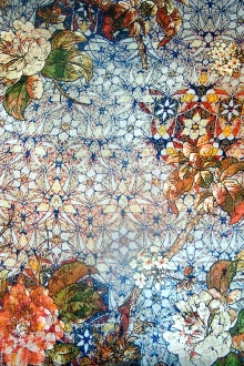 Printed Silk Charmeuse0