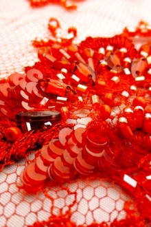 Beaded Chantilly Lace2