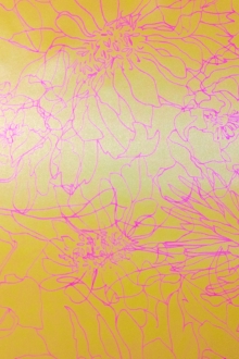 Printed Silk Charmeuse0