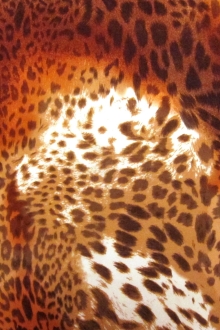 Printed Silk Charmeuse0