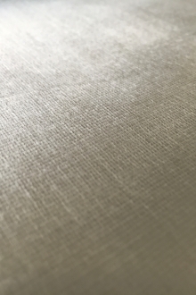 Rayon Panne Velvet in Silver0