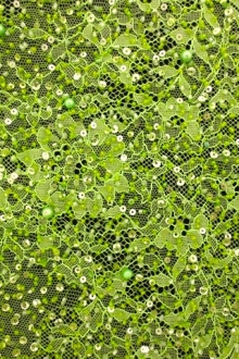 Beaded Chantilly Lace0