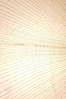 Marguerite Beige Crystal Embroidered Tulle Panel0