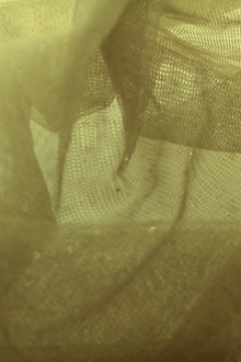 Metallic Nylon Tulle in Salvia and Gold0