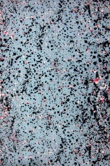 Silk and Wool Gazar0