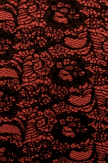 Fused Lace on Polyester Coating0