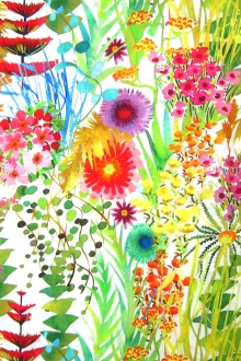 Liberty of London Cotton Lawn Print 0