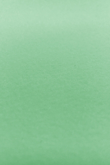 Japanese Pebbled Poly Organza in Mint0