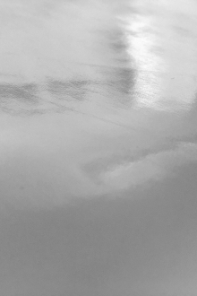 Wetlook Vinyl in Silver0