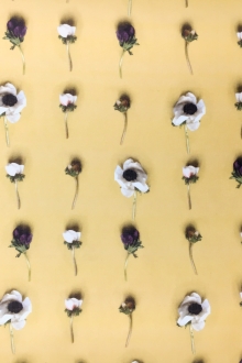 Printed Silk Organza with Rows of Anemone Flowers0