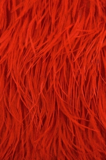 Ostrich Feather Trimmed Illusion0